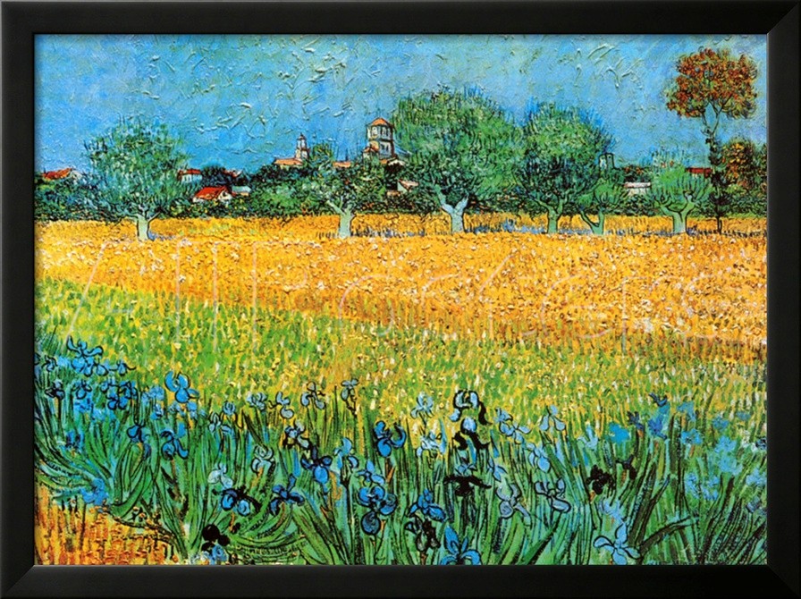 View of Arles with Irises - Vincent Van Gogh Paintings